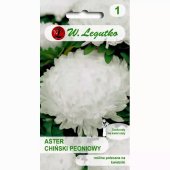 Aster chiński peoniowy wysoki biały (Callistephus chinensis) - 1 g
