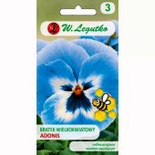 Bratek wielkokwiatowy ADONIS Viola x wittrockiana - 0,4 g