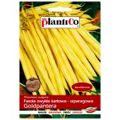 Fasola szparagowa karłowa żółtostrąkowa GOLDPANTERA (Phaseolus vulgaris) - 40 g 