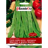 Fasola szparagowa tyczna zielonostrąkowa MARCONI A GRANO BIANCO (Phaseolus vulgaris) - 10 g