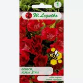Godecja, Azalia letnia (czerwona) (Godetia grandiflora) - 1 g
