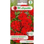 Goździk brodaty SCARLET BEAUTY (ognistoczerwony) (Dianthus barbatus) - 0,5 g 