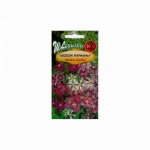 Goździk wspaniały (mieszanka) (Dianthus superbus) - 0,2 g 