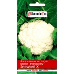 Kalafior SNOWBALL X (Brassica oleracea var. botrytis) - 1 g