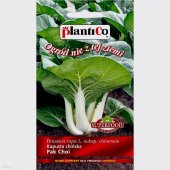 Kapusta chińska PAC-CHOI (Brassica chinensis) - 0,1 g