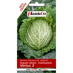 Kapusta włoska późna VERTUS 2 (Brassica oleracea var capitata) - 2 + 0,4 g