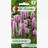 Liatra kłosowa (różowo-fioletowa) (Liatris spicata) - 0,2 g