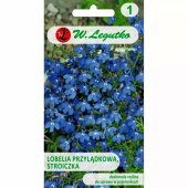 Lobelia przylądkowa, Stroiczka (niebieska) (Lobelia erinus) - 0,2 g