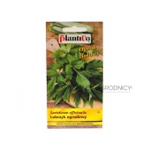 Lubczyk ogrodowy (Levisticum officinalis) - 0,5 g