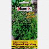 Majeranek ogrodowy (Origanum majorana) - 0,5 g