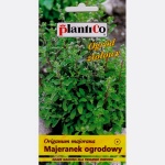 Majeranek ogrodowy (Origanum majorana) - 0,5 g