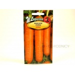 Marchew późna KORAL (Daucus carota) - 5 g