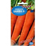 Marchew późna SAMBA F1 (Daucus carota) - 5 g