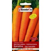 Marchew wczesna typ karotka KAROTINA  (Daucus carota) - 5 g