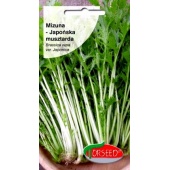 MIZUNA Japońska musztarda (zielona) (Brassica rapa var.japonica) - 2 g