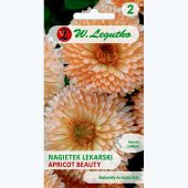 Nagietek lekarski APRICOT BEAUTY (Calendula officinalis) - 2 g