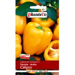 Papryka słodka CALIPSO (Capsicum annuum) -  0,5 g