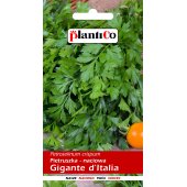 Pietruszka naciowa GIGANTE D' ITALIA (Petroselinum crispum) - 5 g