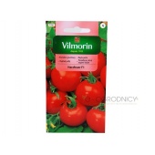 Pomidor szklarniowy - tunelowy i do gruntu HARZFEUER F1 (Lycopersicon esculentum) - 300 mg
