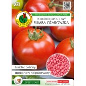 Pomidor gruntowy karłowy RUMBA OŻAROWSKA otoczkowany (Solanum lycopersicum L.) - 100 nasion