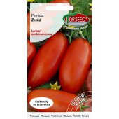 Pomidor gruntowy karłowy ZYSKA (Lycopersicon lycopersicum L.) - 0,2 g