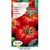 Pomidor gruntowy wysoki i pod osłony BRUTUS (Solanum lycopersicum) - 0,2 g
