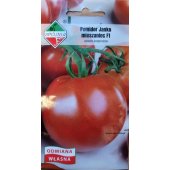 Pomidor gruntowy wysoki i pod osłony JANKO mieszaniec F1 (Solanum lycopesicum) - 0,2 g 