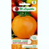 Pomidor gruntowy wysoki i pod osłony ZŁOTY OŻAROWSKI (Lycopersicon esculentum) - 0,5 g