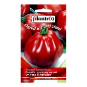 Pomidor gruntowy wysoki i pod osłony OR PERA D' ABRUZZO (Lycopersicon esculentum) - 0,2 g