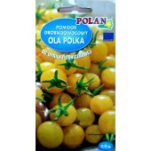 Pomidor koktajlowy doniczkowy OLA POLKA (Solanum lycopersicum) - 0,2 g