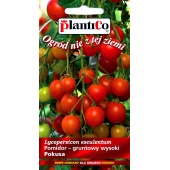 Pomidor koktajlowy POKUSA (Lycopersicon lycopersicum) - 0,5 g  