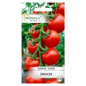 Pomidor koktajlowy SPENCER (Solanum lycopersicum) - 0,5 g