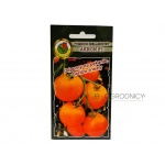 Pomidor szklarniowy - tunelowy i do gruntu AKRON F1 (Solanum lycopersicum L.) - 0,1 g