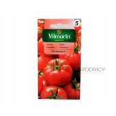 Pomidor szklarniowy - tunelowy PINK WONDER F1 (Solanum lycopersicum) - 7 nasion