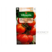 Pomidor szklarniowy - tunelowy PEDRO F1 (Lycopersicon esculentum) - 0,1 g