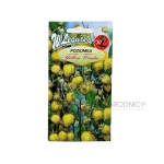 Poziomka YELLOW WONDER (Fragaria vesca) - 0,1 g