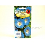 Wilec, Powój pnący HEAVENLY BLUE (Ipomoea tricolor) - 2 g 