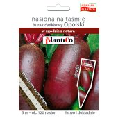 Burak ćwikłowy OPOLSKI (Beta vulgaris)  - taśma 5 m