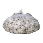 Cebula dymka biała WHITE GLOBE  - 0,25 kg