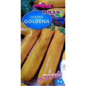 Cukinia GOLDENA (Cucurbita pepo) - 3 g