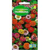 Cynia karłowa THUMBELINA (Zinnia elegans) - 1 g