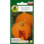 Dynia olbrzymia JUSTYNKA F1 (Cucurbita maxima) - 2 g