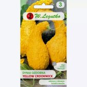 Dynia ozdobna YELLOW CROOKNECK (Cucurbita pepo) - 1 g