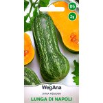 Dynia piżmowa LUNGA DI NAPOLI (Cucurbita moschata) - 2 g