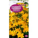 Dziurawiec zwyczajny (Hypericum perforatum) - 0,2 g