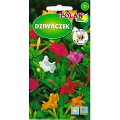 Dziwaczek (Mirabilis jalapa) - 5 g