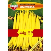 Fasola szparagowa karłowa żółtostrąkowa UNIWERSA (Phaseolus vulgaris) - 44 g