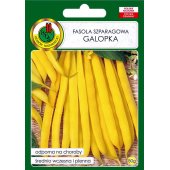 Fasola szparagowa karłowa żółtostrąkowa GALOPKA (Phaseolus vulgaris) - 50 g 