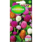 Gomfrena kulista (Gomphrena globosa) -  0,3 g