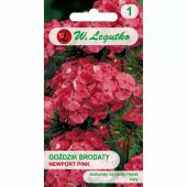 Goździk brodaty NEWPORT PINK (łososioworóżowy) (Dianthus barbatus) - 0,5 g